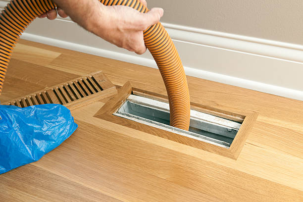 Best Local Air Duct Cleaning Services  in Rio, WI